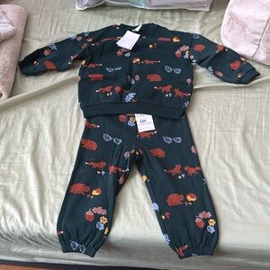 NWT H&M Toddler Sweatsuit 🍁 🦔